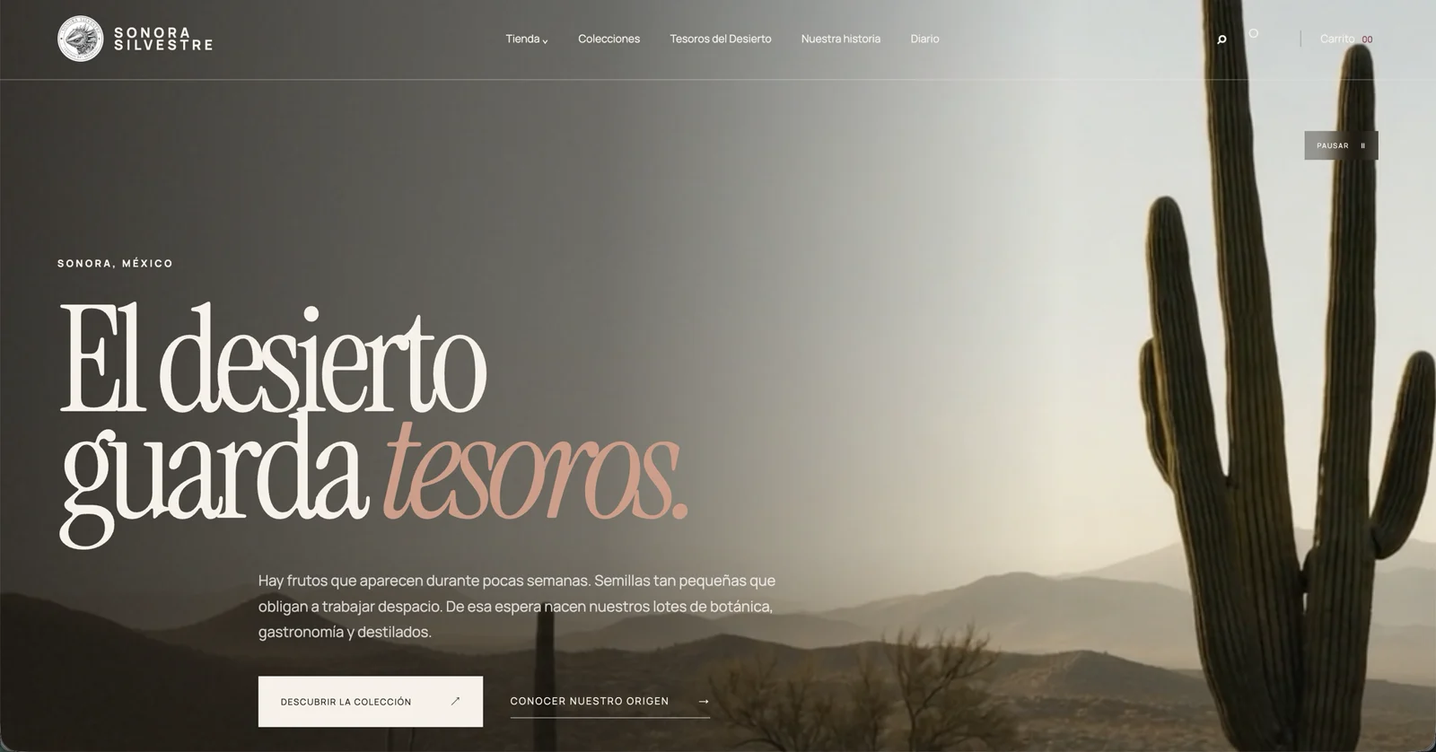 Página de inicio real de Sonora Silvestre con paisaje del desierto